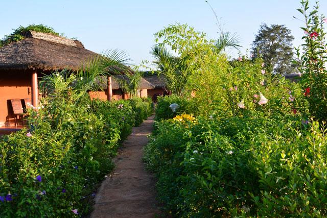 Red Earth Resort in Kabini | Holiday Packages for Red Earth Resort | Red Earth in Kabini