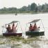 Image Gallery of Misty Woods Resort