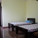 Image Gallery of Cycas Grove Homestay