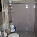 Image Gallery of Cycas Grove Homestay