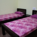 Image Gallery of Cycas Grove Homestay