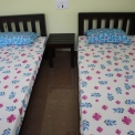 Image Gallery of Cycas Grove Homestay