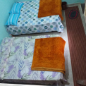 Image Gallery of Lemon Homestay