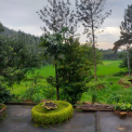 Image Gallery of Lemon Homestay