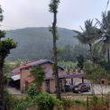 Image Gallery of Lemon Homestay
