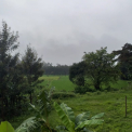 Image Gallery of Lemon Homestay
