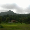 Image Gallery of Lemon Homestay