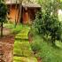 Image Gallery of Banasura Hills Resort