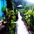 Image Gallery of Kingfisher Jungle stay