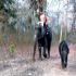 Image Gallery of Kingfisher Jungle stay