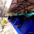 Image Gallery of Kingfisher Jungle stay