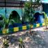 Image Gallery of Kingfisher Jungle stay
