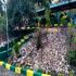 Image Gallery of Kingfisher Jungle stay