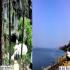 Image Gallery of Kingfisher Jungle stay