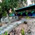 Image Gallery of Kingfisher Jungle stay