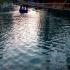 Image Gallery of Kingfisher Jungle stay