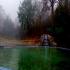 Image Gallery of Kingfisher Jungle stay