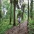 Image Gallery of Kingfisher Jungle stay