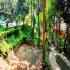 Image Gallery of Silver Oaks Cottages