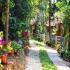 Image Gallery of Silver Oaks Cottages