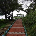 Image Gallery of Jagates Mist