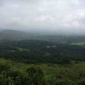 Image Gallery of Jagates Mist
