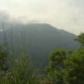 Image Gallery of Jagates Mist