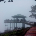 Image Gallery of Jagates Mist