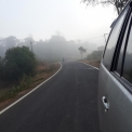 Image Gallery of Jagates Mist