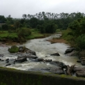 Image Gallery of Jagates Mist