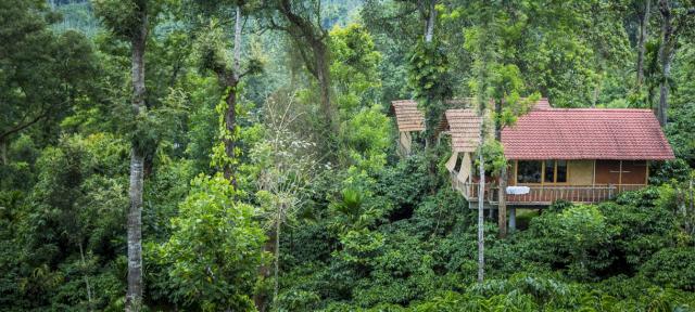 Coffee County Wayanad Resort | Best Deals for Coffee County Resort in Wayanad | Book Rooms Online at Wayanad Coffee County Resort