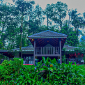 Image Gallery of Chandra Mukuta Homestay