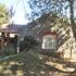 Image Gallery of Blue Valley Jungle Resort