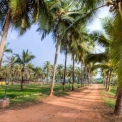 Image Gallery of River Roost Resort