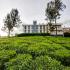 Image Gallery of Sunvalley Homestay