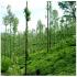 Image Gallery of Kalgreen Valley Resort