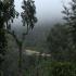 Image Gallery of Kalgreen Valley Resort