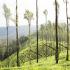 Image Gallery of Kalgreen Valley Resort