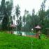 Image Gallery of Kalgreen Valley Resort