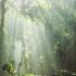 Image Gallery of Kalgreen Valley Resort