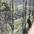 Image Gallery of Kalgreen Valley Resort