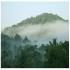 Image Gallery of Kalgreen Valley Resort