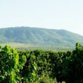 Image Gallery of Nirvana Kuteera