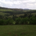 Image Gallery of Kalarava Homestay