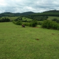 Image Gallery of Kalarava Homestay