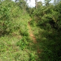 Image Gallery of Kalarava Homestay