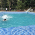 Image Gallery of Nest Estate Homestay