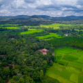Image Gallery of Nest Estate Homestay