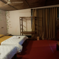 Image Gallery of Nest Estate Homestay