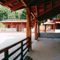 Image Gallery of Nest Estate Homestay